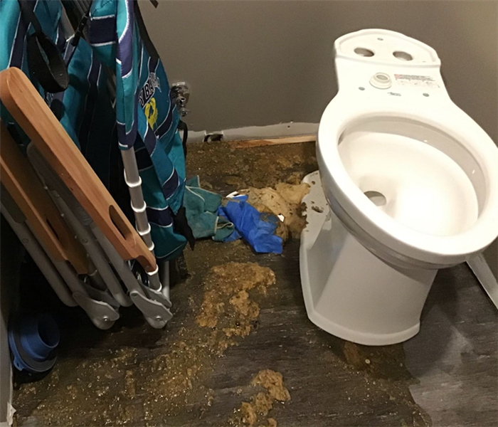 Finished basement bathroom with sewage on the floor