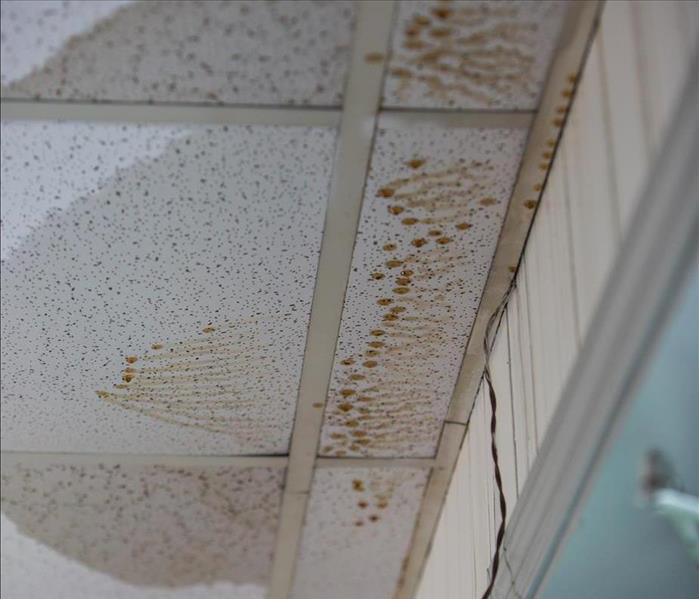 Water Damaged Ceiling Tile 