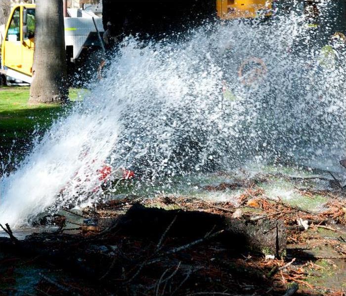 A pipe underneath a park bursts upward, causing severe leaks in broad daylight.