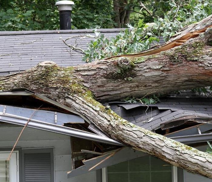 A tree cracks the front facing part of a roof after a heavy storm.