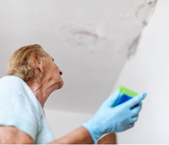 Elderly woman holding a sponge, looking up at mold on the celing. 