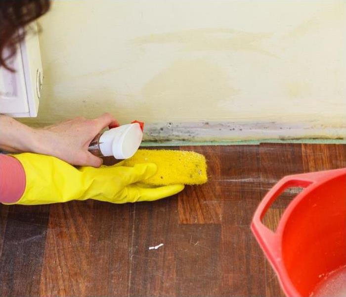 Hands wearing yellow gloves, cleaning mold under a radiator. 