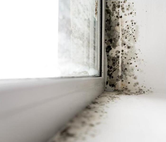 Photo of a moldy windowsill
