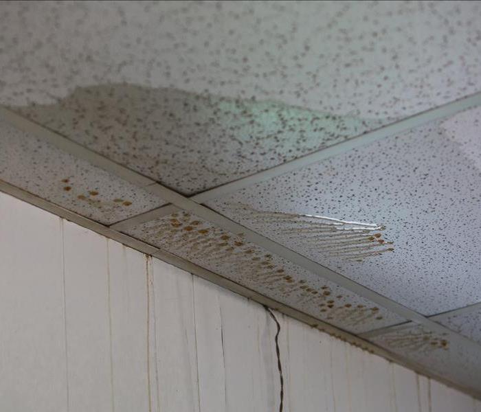 water-damaged ceiling tile