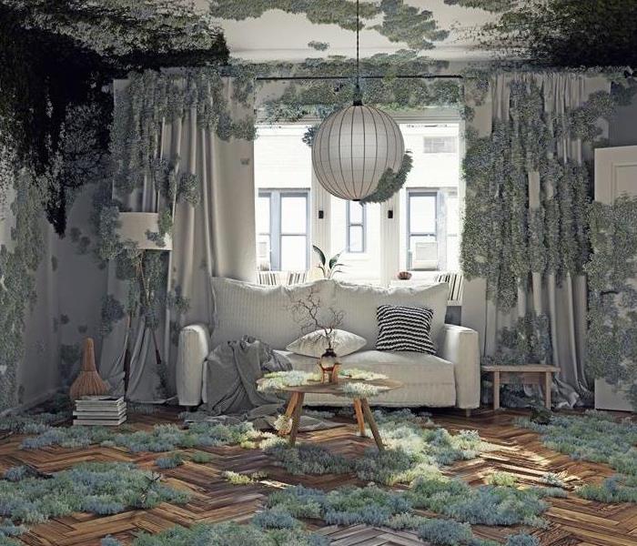 An illustration of a living room ebing invaded by various mold and plant life.